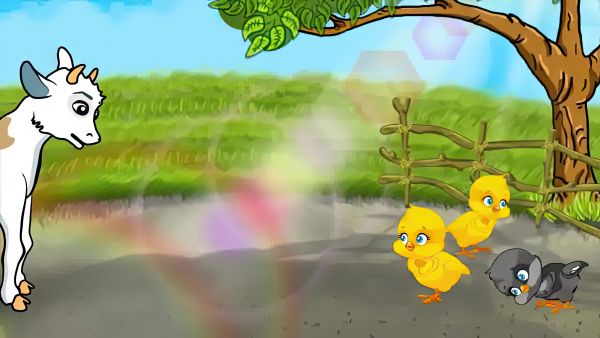 animation of the tutorial