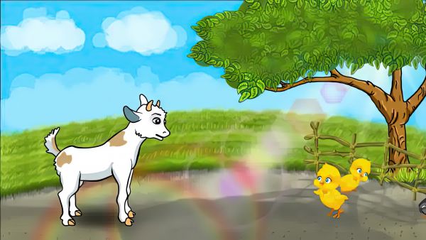 animation of the tutorial